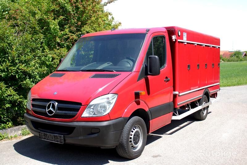 Mercedes-Benz Sprinter 310 Carlsen 5+5 Türen -33°C Eiswagen