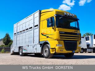 DAF XF 410 SC Menke  Pferdetransporter